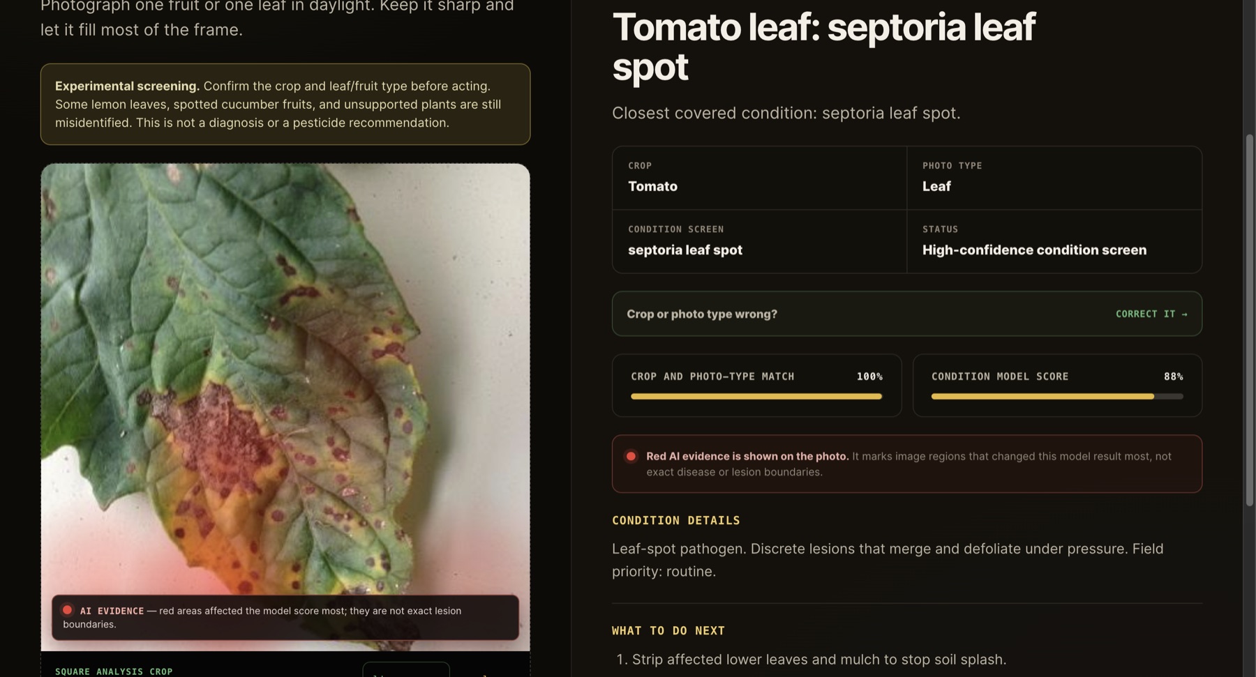 CropSCOUT Vision result: tomato leaf, septoria leaf spot, with AI evidence heat-map on the photo